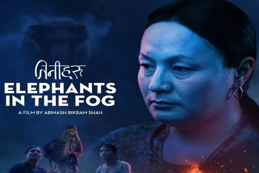 Elephants in the Fog